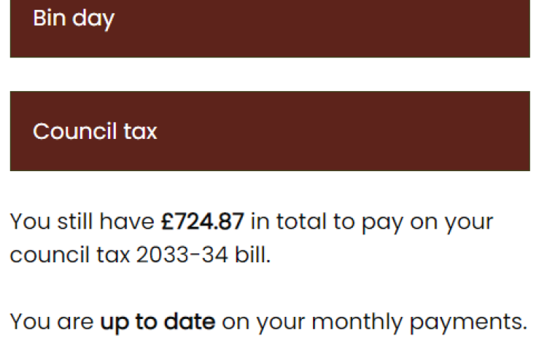 You still have £724.87 in total to pay on your council tax 2033-34 bill.  You are up to date on your monthly payments.